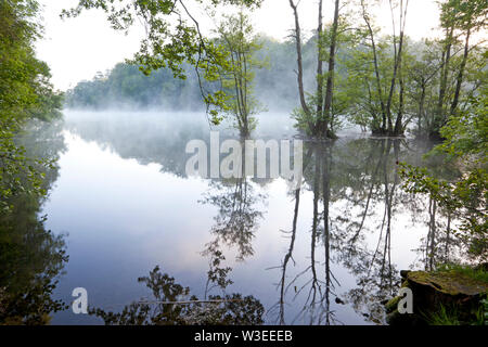 Brume matinale sur le lac à Fonthill, près de Meyssac dans le Wiltshire. Banque D'Images