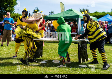 World Championship 2019 Tarte à la crème. L'équipe B habillé en robe de soirée comme les abeilles et une fleur, de lancer des tartes à la crème de table derrière eux. Banque D'Images