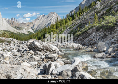 Col du coude en parc provincial Peter Lougheed, l'Alberta, Canada Banque D'Images