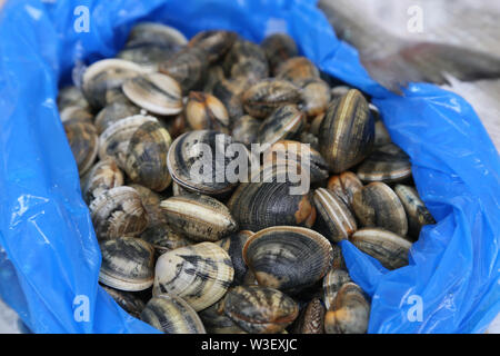 Coquilles de différentes couleurs en vente sur le marché. Banque D'Images
