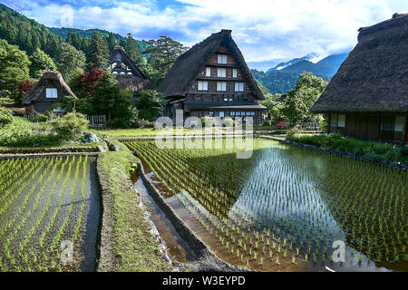 Toit de chaume traditionnel village Shirakawa farm house Gassho zukuri paysages du patrimoine mondial de l'architecture du paysage Japon voyage Gokayama Gifu Banque D'Images