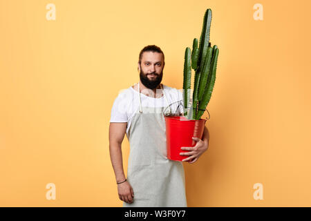 Fleuriste beau maler habillé en tablier, debout avec un gros cactus plantés en isolé du godet rouge fond jaune. emploi, profession, style de vie. occup Banque D'Images