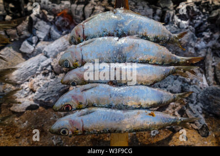 L'Espagne de brochettes. Espetos de sardines barbecueing sur feu ouvert. La province de Malaga, Costa del Sol. Andalousie, Espagne du sud Europe Banque D'Images