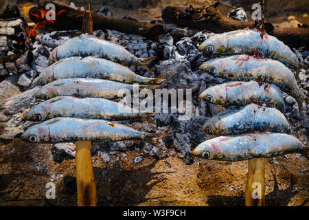 L'Espagne de brochettes. Espetos de sardines barbecueing sur feu ouvert. La province de Malaga, Costa del Sol. Andalousie, Espagne du sud Europe Banque D'Images