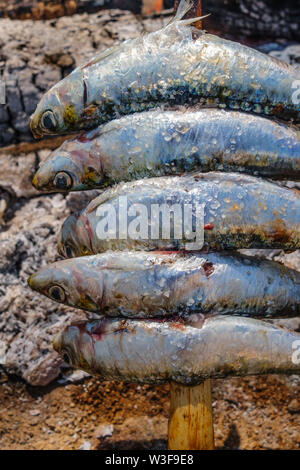 L'Espagne de brochettes. Espetos de sardines barbecueing sur feu ouvert. La province de Malaga, Costa del Sol. Andalousie, Espagne du sud Europe Banque D'Images