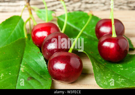 Cerises rouges acidulées fraîchement récolté avec des feuilles vertes allongé sur table en bois Banque D'Images