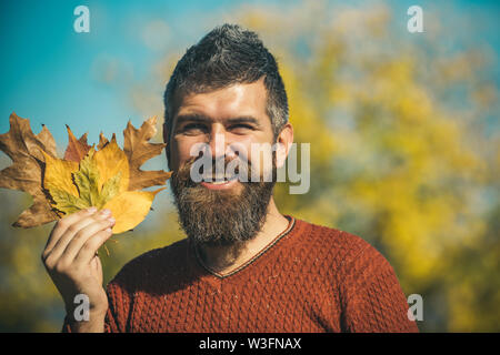 Homme avec les feuilles d'automne bouquet dans la main et la barbe Banque D'Images