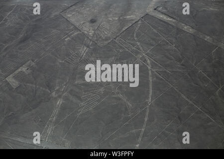 Vue aérienne de lignes de Nazca représentant un colibri Géoglyphe de Nazca, Pérou, Banque D'Images