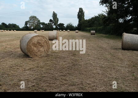 Fenaison, Big Balles Rondes Cheshire Farm. Banque D'Images