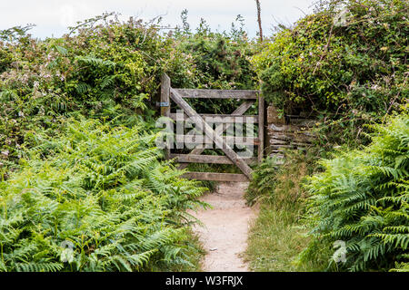 Chemin de la côte sud du devon de Noth Banque D'Images