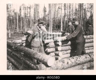 Waffen-SS Hommes construire un bunker de journal sur le secteur nord du front russe 1942 Banque D'Images