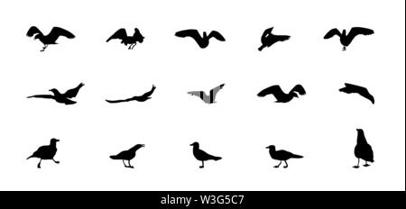 Ensemble de silhouettes de goélands. Voler, manger, aller, au décollage. Illustration de Vecteur