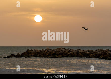 Oiseau volant au-dessus de l'eau pause au coucher du soleil dans le Paradis Banque D'Images