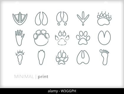 Ensemble de 15 icônes de ligne d'impression des animaux de la faune pour la chasse ou le suivi des empreintes Illustration de Vecteur