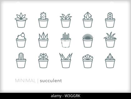 Ensemble de 15 icônes de ligne de plante succulente Illustration de Vecteur