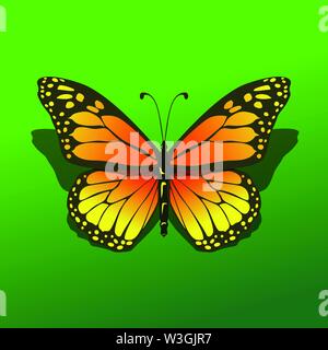 Papillon isolés descendre à fond vert avec ombre belle icône illustration simple réaliste Illustration de Vecteur