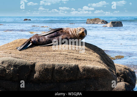 Excusez-moi im essayant d'avoir un sommeil Banque D'Images
