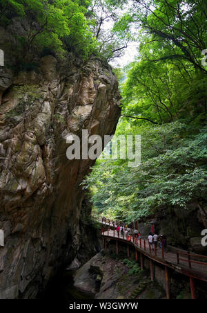 Xi'an, province du Shaanxi en Chine. 15 juillet, 2019. Les touristes à aller visiter le parc national forestier de Taiping dans Xi'an, province du Shaanxi du nord-ouest de la Chine, le 15 juillet 2019. Credit : Liu Xiao/Xinhua/Alamy Live News Banque D'Images