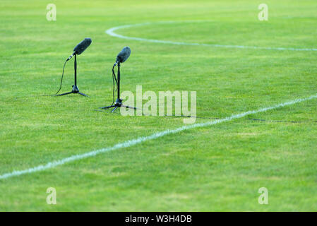 Microphone professionnel poilu sur l'herbe verte sur un terrain de soccer Banque D'Images