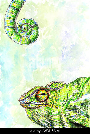 Illustration à l'aquarelle peint en caméléon. Couleur Design caméléon, caméléon, lézard couleur aquarelle Banque D'Images