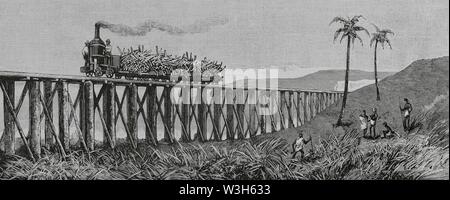 L'Australie. Mackay. Costa oriental de Queensland. Producción de la caña de azúcar. Tren económico de máquina vertical, para el transporte de la caña de azúcar desde la plantación un la fábrica. La gravure. La Ilustración Española y Americana, 8 de febrero de 1883. Banque D'Images