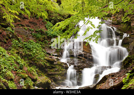 La circulation rapide de l'eau baisse fortement de la hauteur des montagnes des Carpates dans le contexte de l'environnement printemps vert feuillage. Banque D'Images