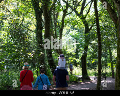 Épaule Ride pour fille sur les épaules des papas tout en marchant à travers les bois aux Les Jardins perdus de Heligan Banque D'Images