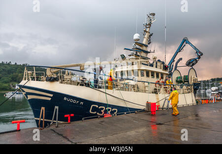 Crosshaven, Cork, Irlande. 16 juillet, 2019. Trawler Buddy m'attacher à quai à Crosshaven, Co. Cork après son retour de la mer celtique avec ses captures de l'églefin et le merlan. Crédit : David Creedon/Alamy Live News Banque D'Images