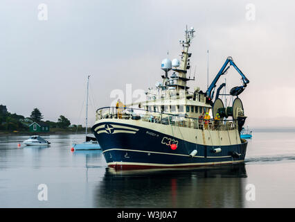 Crosshaven, Cork, Irlande. 16 juillet, 2019. Trawler Buddy M retourne sous un ciel couvert matin de la mer celtique avec des prises d'aiglefin et de merlan à Crosshaven, co Cork, Irlande. Crédit : David Creedon/Alamy Live News Banque D'Images