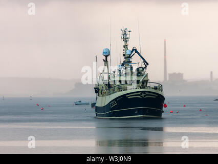 Crosshaven, Cork, Irlande. 16 juillet, 2019. Trawler Buddy M retourne sous un ciel couvert matin de la mer celtique avec des prises d'aiglefin et de merlan à Crosshaven, co Cork, Irlande. Crédit : David Creedon/Alamy Live News Banque D'Images