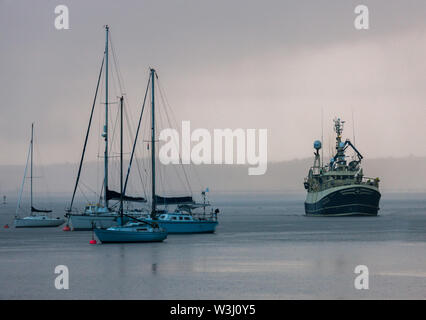 Crosshaven, Cork, Irlande. 16 juillet, 2019. Trawler Buddy M retourne sous un ciel couvert matin de la mer celtique avec des prises d'aiglefin et de merlan à Crosshaven, co Cork, Irlande. Crédit : David Creedon/Alamy Live News Banque D'Images