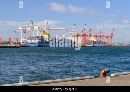 D'énormes navires porte-conteneurs d'être chargé avec des grues dans le port intérieur - Fremantle, WA, Australie Banque D'Images