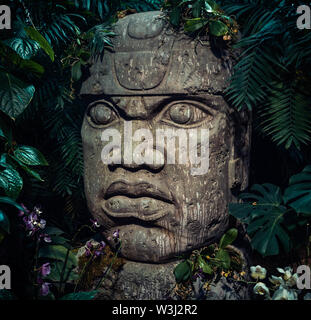 Sculpture olmèque taillée dans la pierre. Tête de Big Stone statue dans une jungle Banque D'Images
