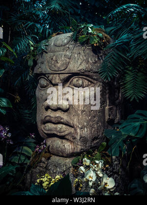 Sculpture olmèque taillée dans la pierre. Tête de Big Stone statue dans une jungle Banque D'Images