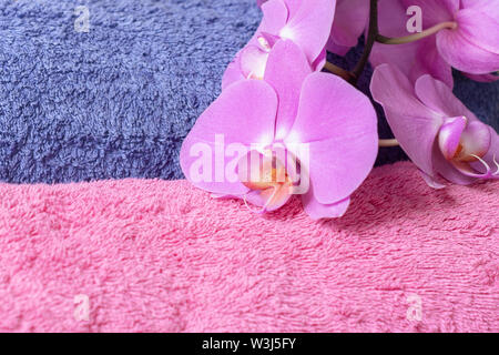 Serviettes éponge moelleux et d'orchidées phalaenopsis en rose Banque D'Images