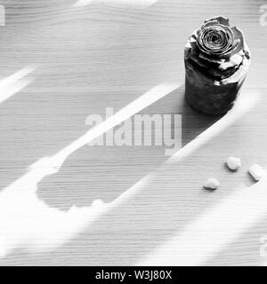 Un livre vert est passé de l'ananas manette en ciment fait main pot avec ombre oblique sur fond blanc au début de la matinée, une décoration simple à la maison Banque D'Images