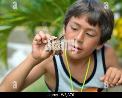 Les Cute boy (Caucase et Asie du Sud-Est) en vacances à Cuba inspecte un hermite dans un shell. Banque D'Images