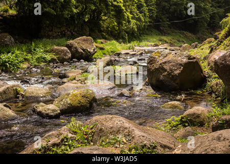 Petite rivière créé par l'eau de cascade, entourée par des pierres et des roches et une forêt verte sauvage. Au sud de Sao Miguel, Açores, Portugal Banque D'Images