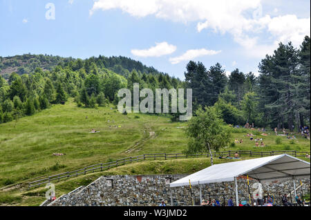 Col du Lys, Piémont, Italie. Juillet 2019. Les gens à la buvette de profiter de la pente de la montagne avec une grande pelouse verte à picni Banque D'Images