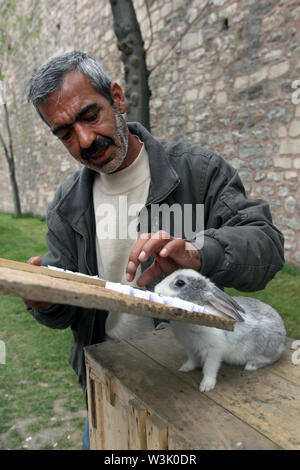 Un turc avec son lapin dire de fortune qui s'amuse les touristes, dans le quartier de Sultanahmet d'Istanbul en Turquie. Banque D'Images