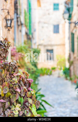 L'extérieur de Valldemossa, célèbre vieux village méditerranéen de l'île de Majorque Valldemossa, Mallorca, Espagne Banque D'Images