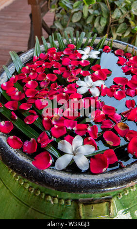 Le Myanmar, Bagan Birmanie aka historique. Bagan Lodge, arrangement de fleurs décoratives. Banque D'Images