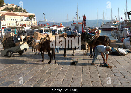 Mulets dans la ville d''Hydra, l'île d'Hydra, Grèce Banque D'Images