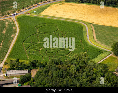 Vue aérienne de l'avenir VENDREDI POUR emblème avec l'activiste climatique Greta Thunberg comme un labyrinthe de maïs sur un champ de Cappenberg, Selm, Ruhr, North Rhi Banque D'Images