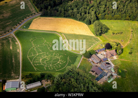 Vue aérienne de l'avenir VENDREDI POUR emblème avec l'activiste climatique Greta Thunberg comme un labyrinthe de maïs sur un champ de Cappenberg, Selm, Ruhr, North Rhi Banque D'Images