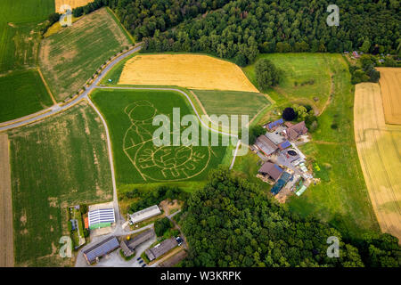 Vue aérienne de l'avenir VENDREDI POUR emblème avec l'activiste climatique Greta Thunberg comme un labyrinthe de maïs sur un champ de Cappenberg, Selm, Ruhr, North Rhi Banque D'Images