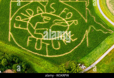 Vue aérienne de l'avenir VENDREDI POUR emblème avec l'activiste climatique Greta Thunberg comme un labyrinthe de maïs sur un champ de Cappenberg, Selm, Ruhr, North Rhi Banque D'Images