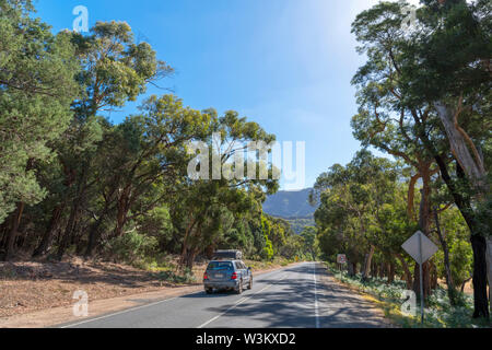 Voiture sur la route des Grampians (C216/C222) près de Halls Gap, le Parc National des Grampians, Victoria, Australie Banque D'Images