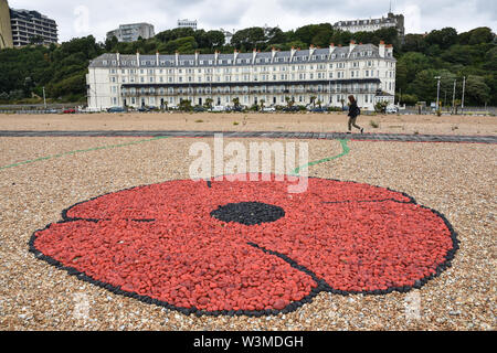 Coquelicot géant sur la plage de Folkestone, Kent, UK en juillet 2019 Banque D'Images