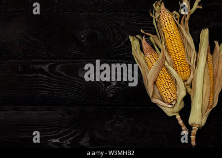 Écaillées partiellement le maïs doux avec s/n sur fond de bois noir. Matières premières fraîchement cueillies sur les rafles de maïs. Matières maïs doux avec la peau. Banque D'Images
